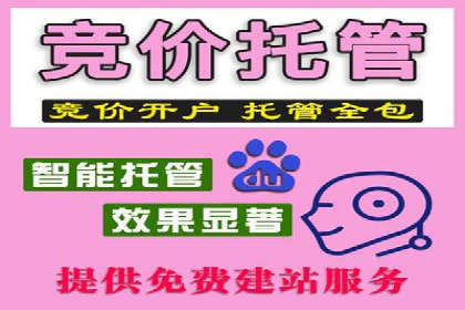 SEM推广策略的五大关键点及成功案例